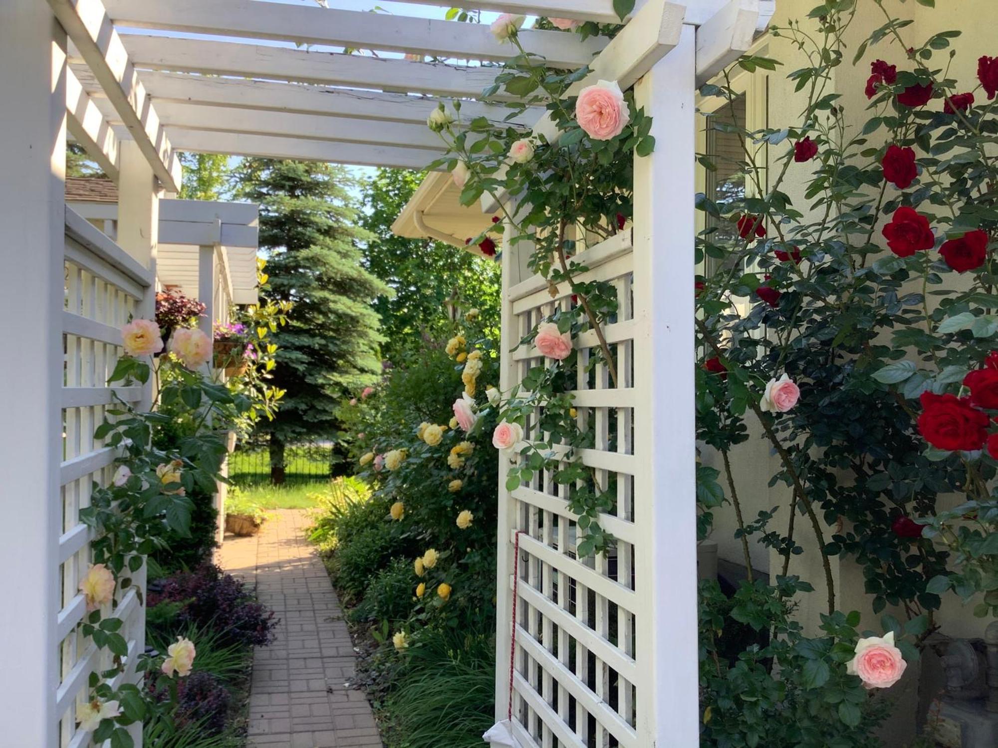 Via Veneto - Old Town Bed & Breakfast Niagara-on-the-Lake Ngoại thất bức ảnh