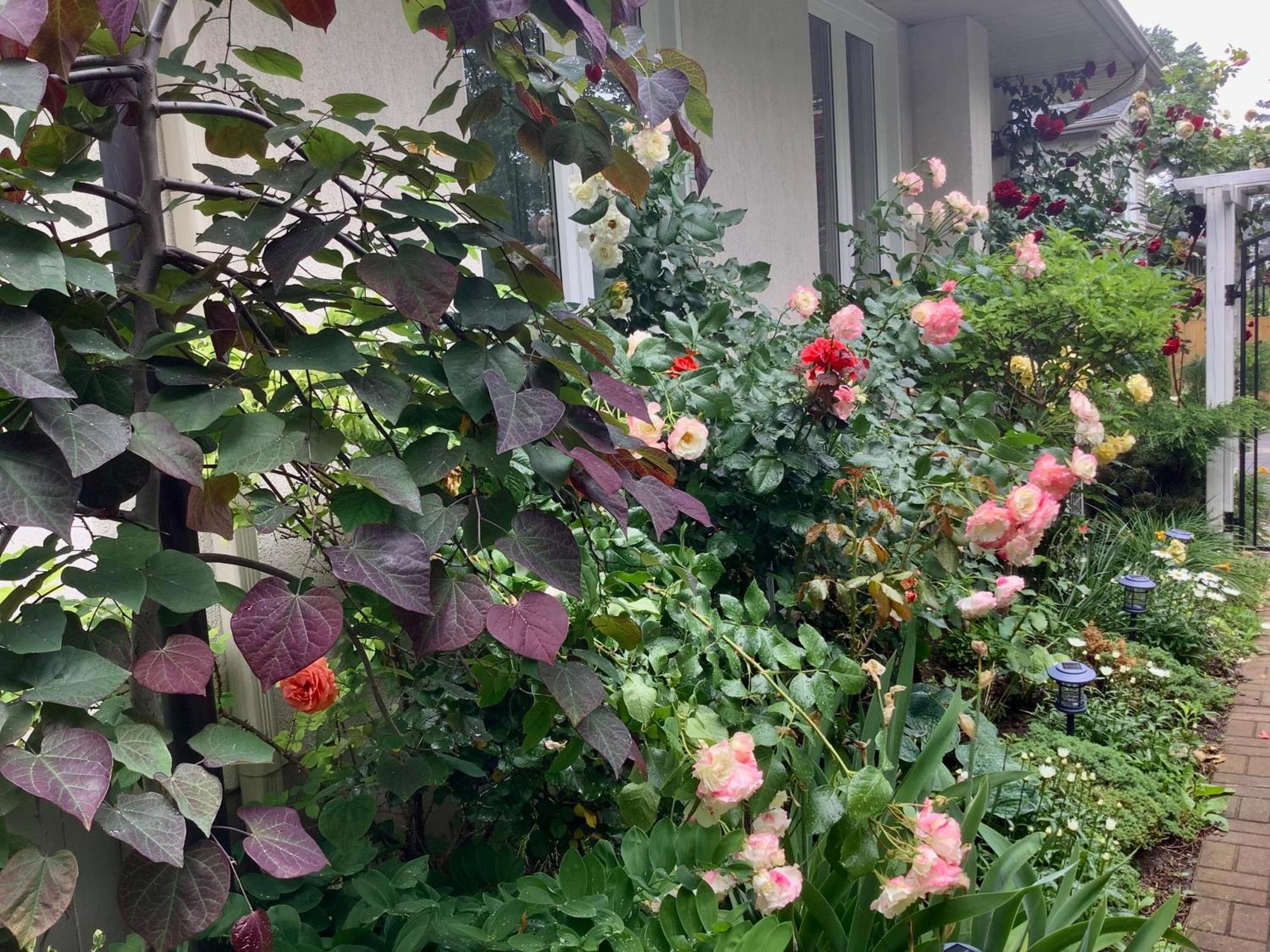 Via Veneto - Old Town Bed & Breakfast Niagara-on-the-Lake Ngoại thất bức ảnh